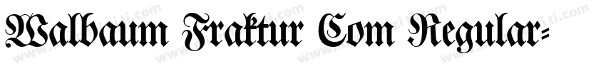Walbaum Fraktur Com Regular字体转换